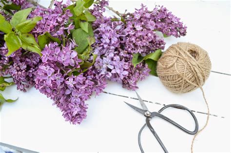 My Painted Garden: Painting Lilacs