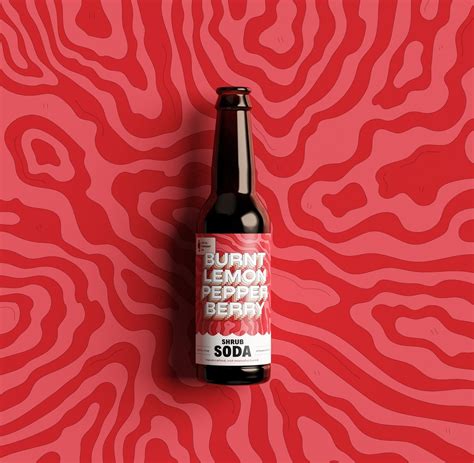 Shrub Soda — Local Ferment Co