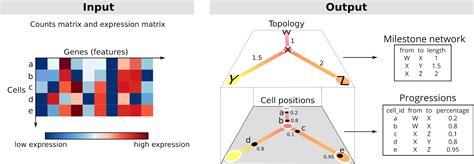 TopCoder Tutorials 的图像结果