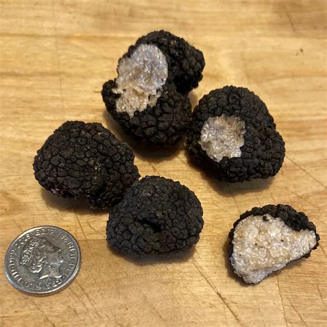 Truffles Found in West London - The English Truffle Company