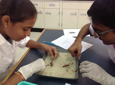 ISC Biotechnology Session 2 的图像结果