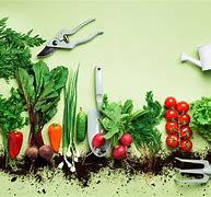 grow food 的图像结果