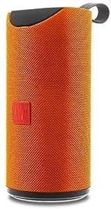 Shree Shyam Computers Shoppe Portable Bluetooth Speaker with Extra ...