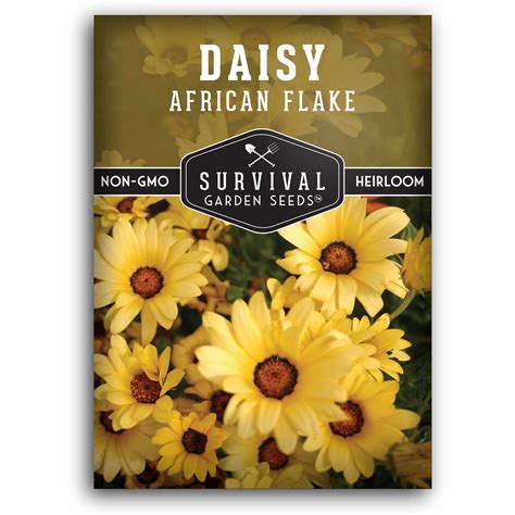 African Flake Daisy Seeds - SurvivalGardenSeeds
