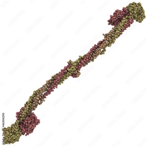 Image result for Fibrinogen Structure