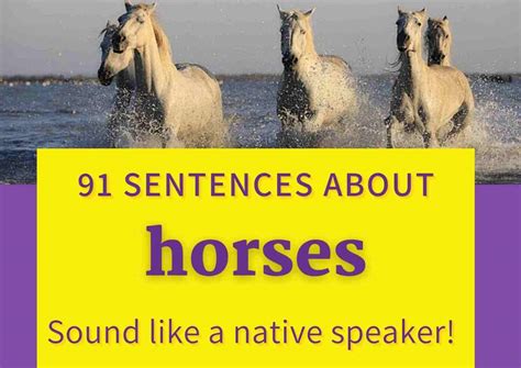 91 Awesome Horse Sentences: Speak Like A Native!