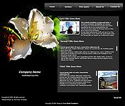 Flash Templates 的图像结果