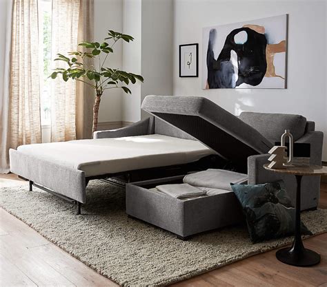 Best Sectional Sleeper Sofa With Storage | Baci Living Room