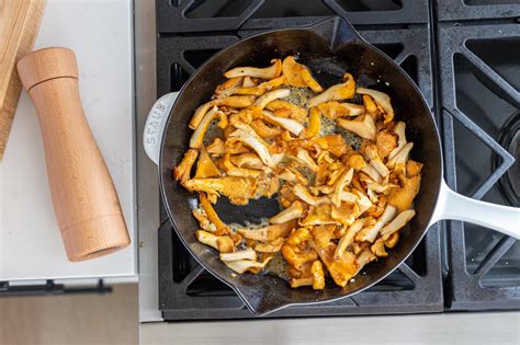 Image result for Scientific Instruments Module