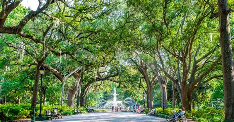 Image result for Best Spring Break Deals