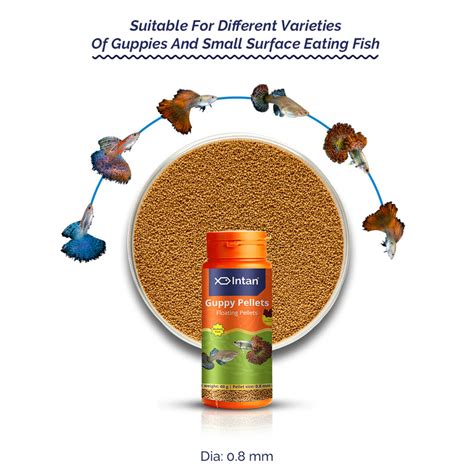 Growel Intan Guppy Pellets - Floating Fish Food for Guppies – Intan Growel