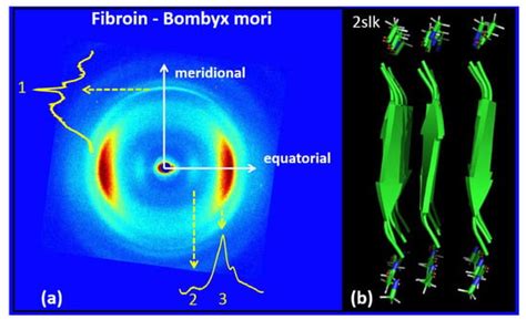 Wide Angle X-Ray Scattering to Study the Atomic Structure of Polymeric ...