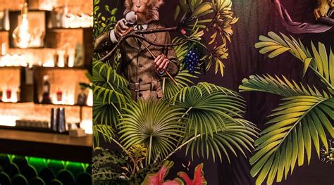 THE WILD MONKEY (2026) All You Need to Know BEFORE You Go (with Photos ...