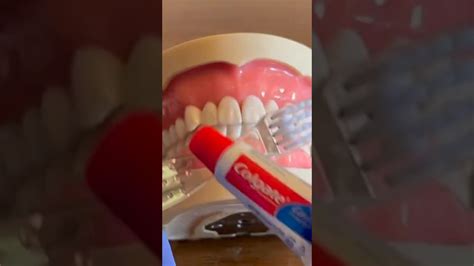 Image result for ASMR Toothpaste