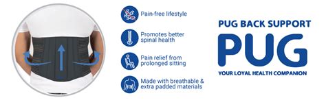 Buy Pug Back Support (Pack of 1) | The Ultimate Solution for Back Pain ...