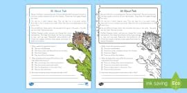 Second Grade All About Snails Reading Passage Comprehension Worksheet