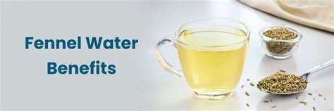 Health Benefits of Fennel Water for Digestion & Skin