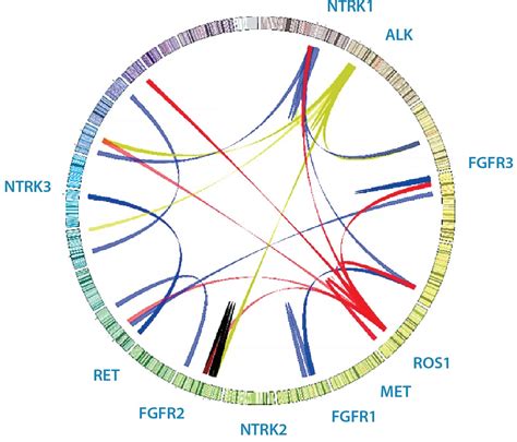 Transcriptome Plot 的图像结果