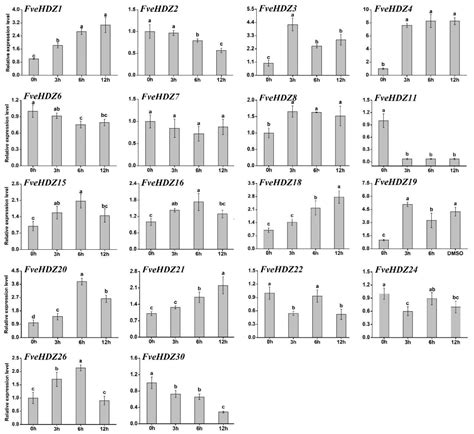 Genome-Wide Characterization and Expression Profiling of HD-Zip Genes ...