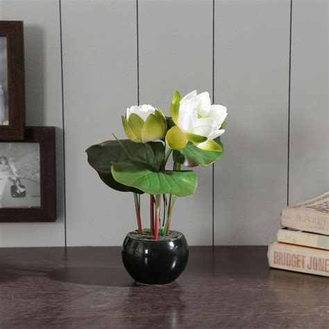 Buy Lotus In Ceramic Black Pot from Home Centre at just INR 299.0