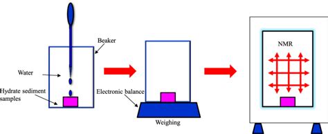 Science Experiment Procedure 的图像结果