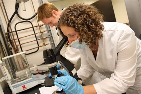 Image result for Accredited Social Work Programs