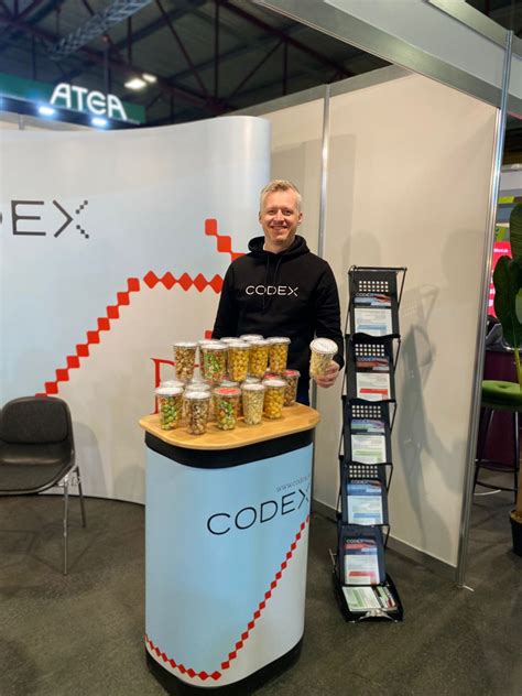 Image result for Codex Cape Town Programming