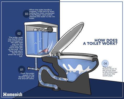 Parts of a Toilet and How It Works (3 Detailed Diagrams) - Homenish