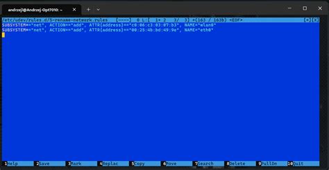 Image result for Predictable Network Interface Names