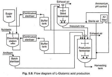 Write flow chart for glutamate production. - Brainly.in