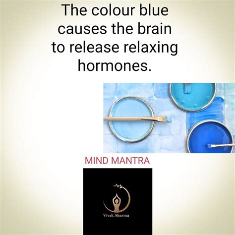 Image result for Blue Color Relaxation