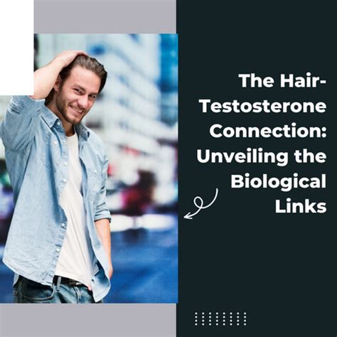 Decoding the Hormonal Puzzle: Testosterone's Role in Hair Health ...
