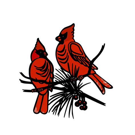 A Clipart Image Of A Vibrant Red Cardinal Bird With A White Background ...