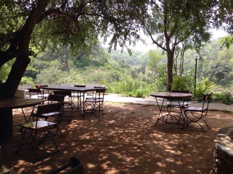 ARANYAWAS RESORT RESTAURANT, Ranakpur - Restaurant Reviews, Phone ...