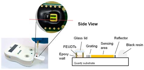 Application of Shear Horizontal Surface Acoustic Wave (SH-SAW ...