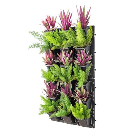 Buy Best Foliage Plants to Beautify Outdoor Vertical Garden online from ...