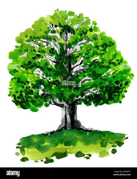 Tree Drawing with Color 的图像结果