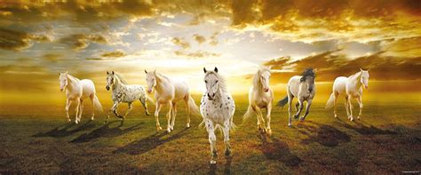 Walls and Murals Seven Horses Running Painting (Large) , 20 x 48 Peel ...