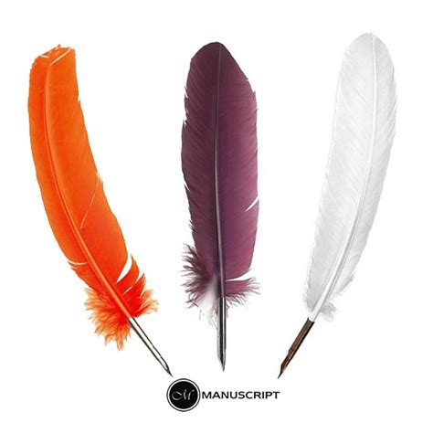 htconline.in| Manuscript Ostrich Quill Pen with Nib(Navy blue, Ivory ...