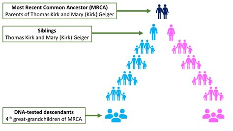 Image result for Ancestry Triangulation