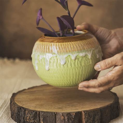 Garden Gleams Green and Brown Planter Pot – Amalfiee Ceramics
