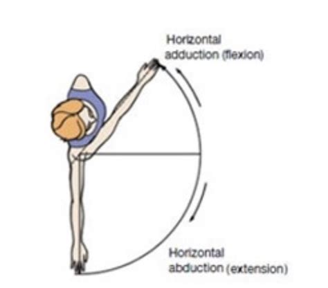 Shoulder Horizontal Abduction And Adduction