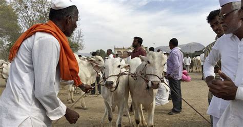 With ban on selling cattle in markets for slaughter, Centre has ...