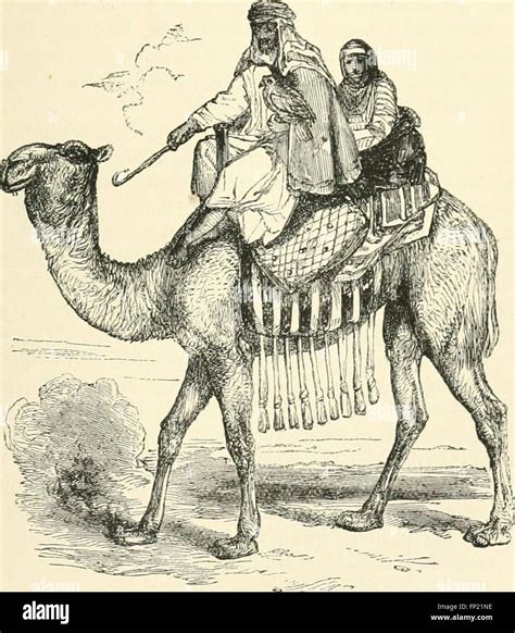 This 1882 work chronicles the author's second expedition to Assyria, focusing on the ancient ...