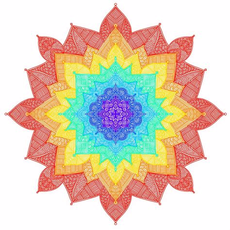 Image result for How to Draw a Scroll Using Procreate