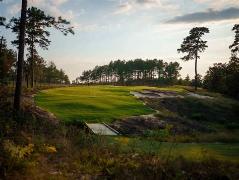 NEW HOME PAGE — Wild Spring Dunes