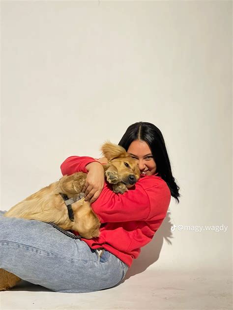Dog in Spider-Man Costume