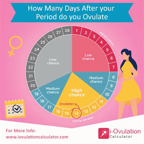 Blog - Ovulation Related Blogs