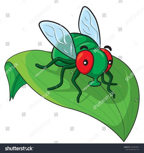 Fly Cartoon 的图像结果