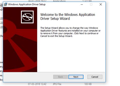 WinApp Driver Tutorial 的图像结果